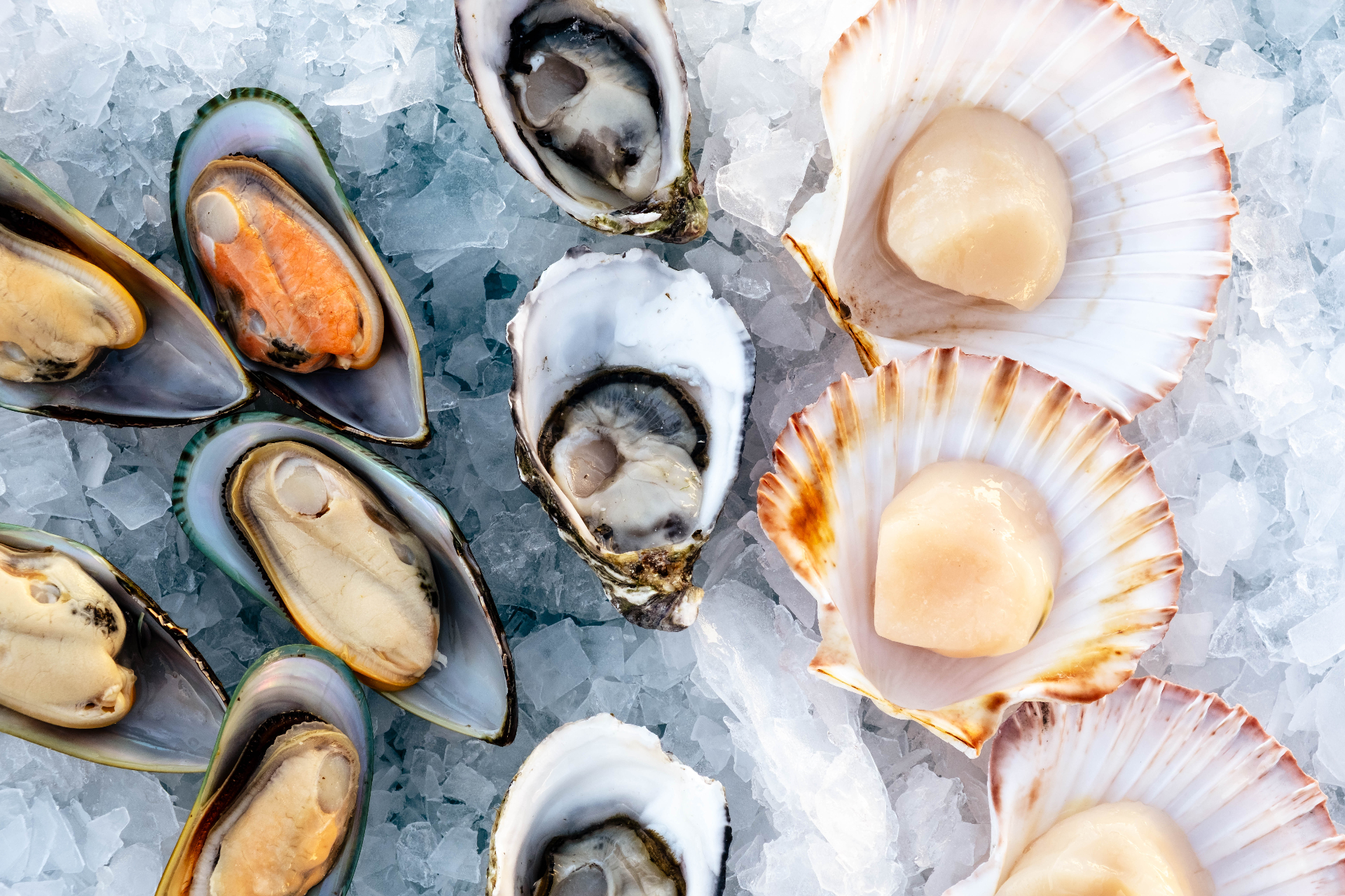 Fresh local seafood platter
